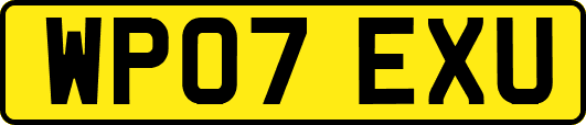 WP07EXU