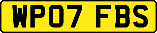 WP07FBS
