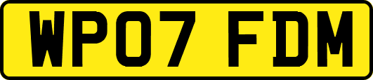 WP07FDM