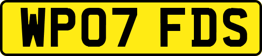 WP07FDS