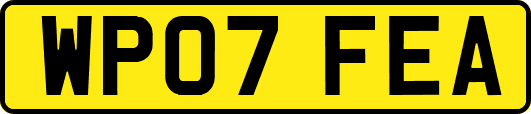 WP07FEA