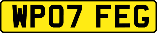 WP07FEG