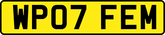WP07FEM