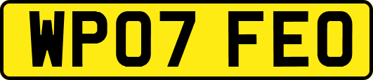 WP07FEO