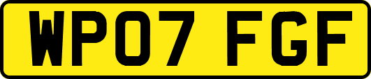 WP07FGF