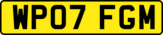 WP07FGM