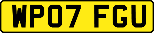 WP07FGU