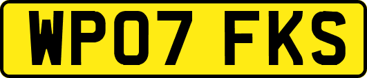 WP07FKS