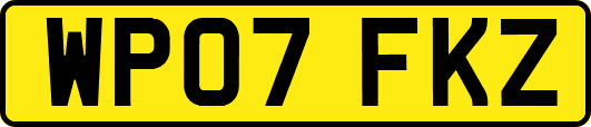 WP07FKZ