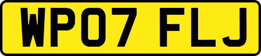WP07FLJ