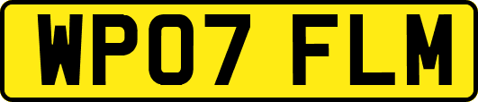 WP07FLM