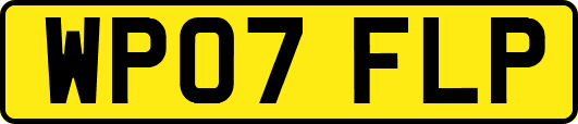 WP07FLP
