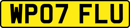 WP07FLU