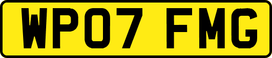 WP07FMG