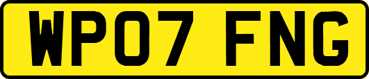 WP07FNG