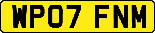 WP07FNM