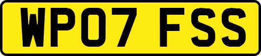 WP07FSS