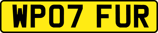 WP07FUR