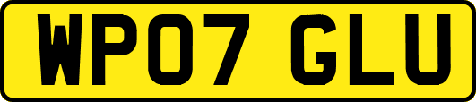 WP07GLU