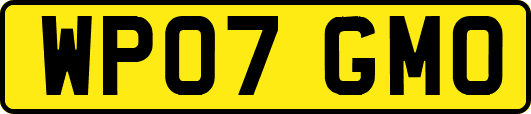 WP07GMO