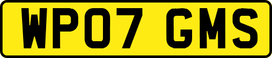 WP07GMS