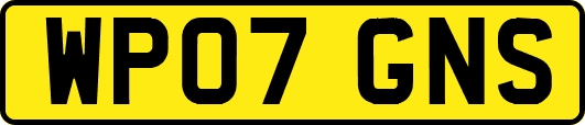 WP07GNS