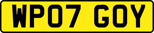 WP07GOY