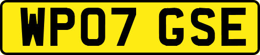 WP07GSE