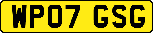 WP07GSG