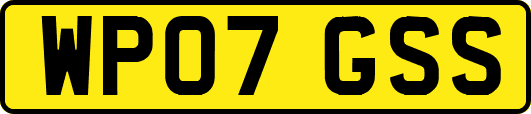 WP07GSS
