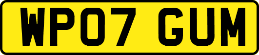 WP07GUM