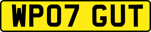 WP07GUT