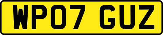 WP07GUZ