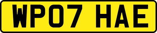 WP07HAE