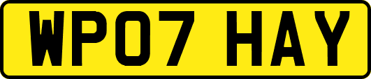 WP07HAY