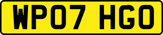 WP07HGO