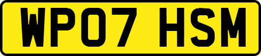 WP07HSM