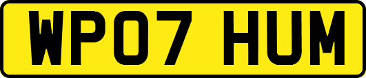 WP07HUM