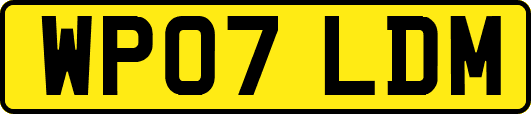 WP07LDM