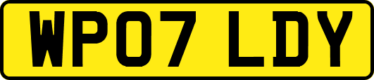 WP07LDY