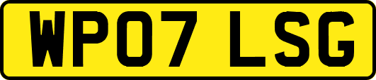 WP07LSG