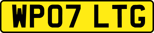 WP07LTG