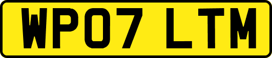 WP07LTM