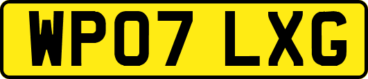 WP07LXG