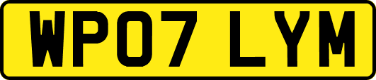 WP07LYM