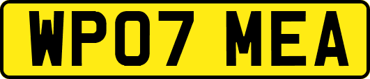 WP07MEA