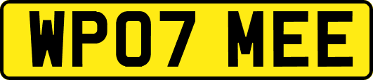WP07MEE
