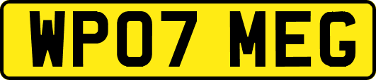 WP07MEG