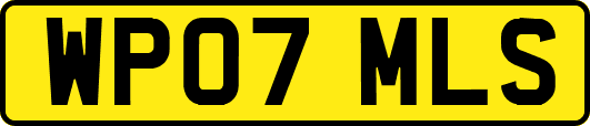 WP07MLS