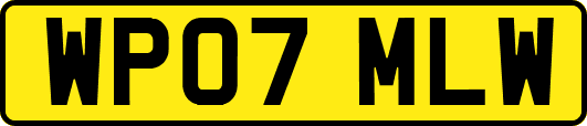 WP07MLW